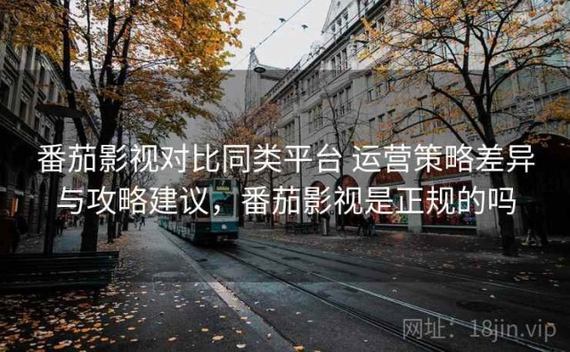 番茄影视对比同类平台 运营策略差异与攻略建议，番茄影视是正规的吗