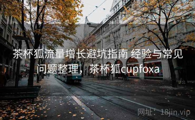 茶杯狐流量增长避坑指南 经验与常见问题整理，茶杯狐cupfoxa