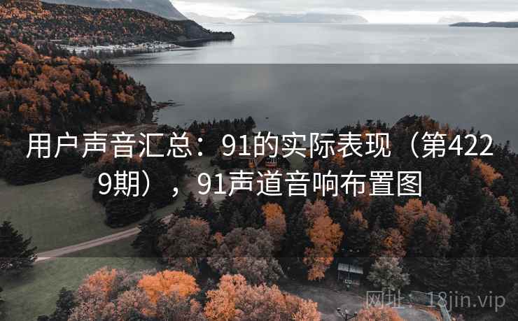 用户声音汇总：91的实际表现（第4229期），91声道音响布置图
